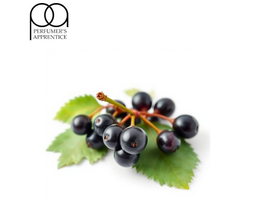 Black Currant (TPA)