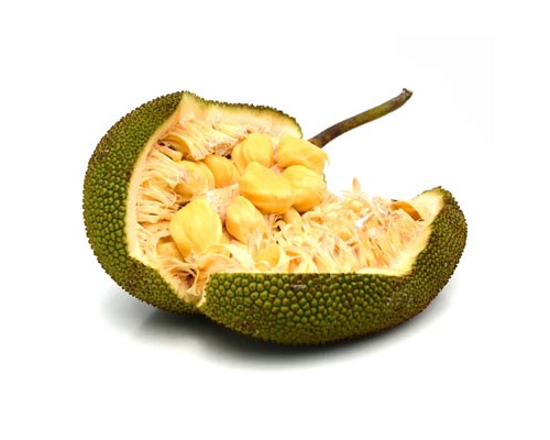 Jackfruit DG (FNT)