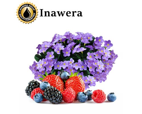 Purple Rain (Inawera)