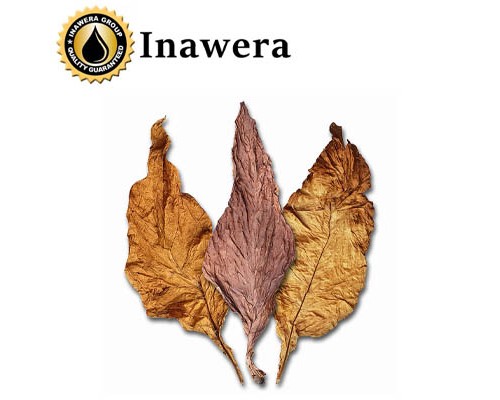 Tobacco Symphony (Inawera)