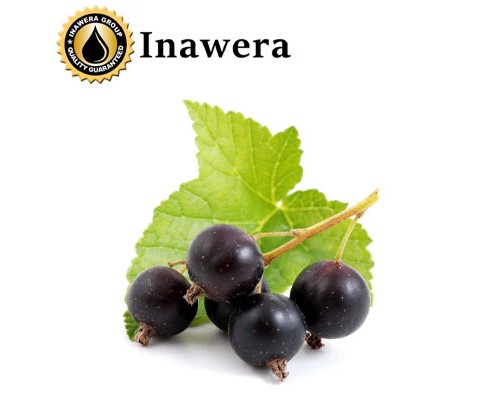 Black Currant (Inawera)