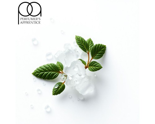 Menthol Liquid (PG) (TPA)