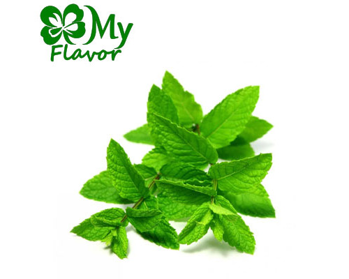Spearmint (My Flavor)