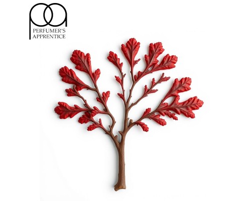 Red Oak (TPA)