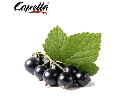 SLP Black Currant (Capella)
