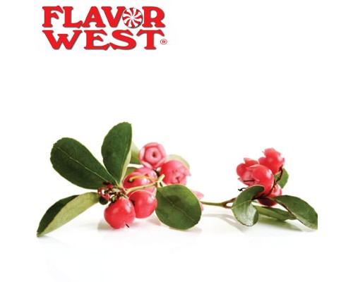 Teaberry (Flavor West)