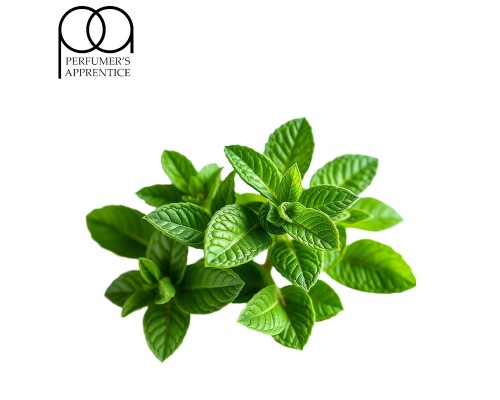 Fresh Mint CC (TPA)