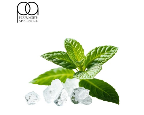 Spearmint Menthol CC (TPA)