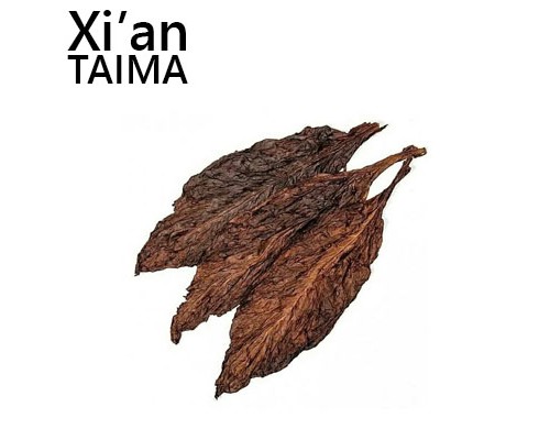 Bella Valente (Xi'an Taima)