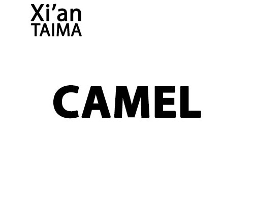 Camel (Xi'an Taima)