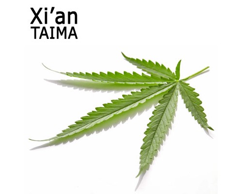 Canabis (Xi'an Taima)