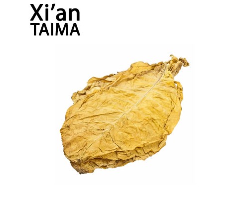French Pipe (Xi'an Taima)