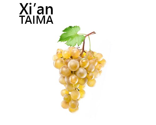 Golden Grape (Xi'an Taima)