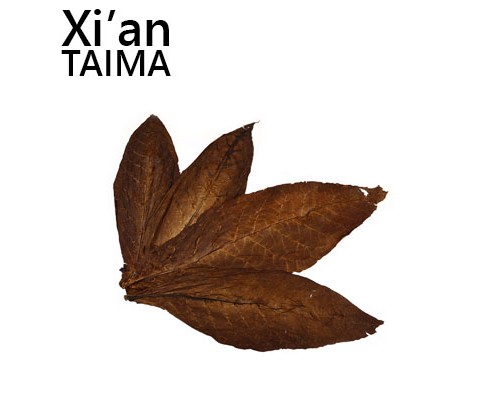 Orque 56 (Xi'an Taima)