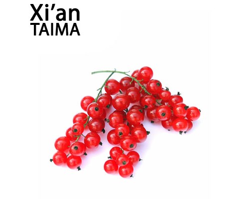 Red Currant (Xi'an Taima)