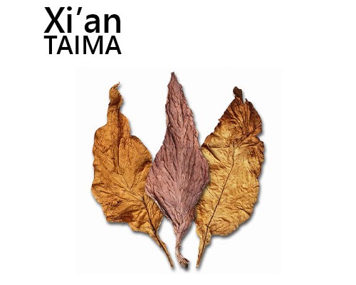 Royal (Xi'an Taima)